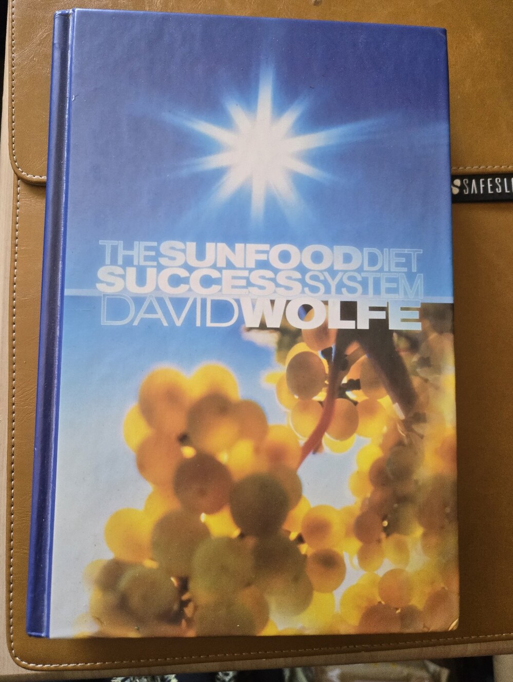 The Sunfood Diet Success System by David Wolfe - Blue & Yellow Hardcover